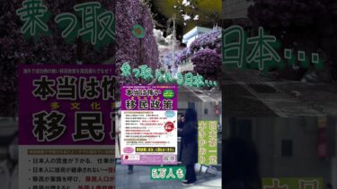 移民に乗っ取られる日本！安全な日本はもはや過去…日本人の皆様、このことに危機感を持ちましょう！ 本多かおり　日本第一党 #移民政策反対 #大阪 #shorts