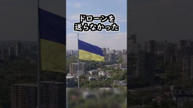 ドローン対策はミサイルには無意味みたいですね#ゆっくり軍事解説 #ロシアウクライナ戦争 #ドローン #shorts
