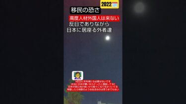 世界危険タブー外国移民問題NEWS日本政治ビジネスお金ニュースTV経済社会おすすめショート動画アイドル桜井誠先生short#youtubeshorts#news#おすすめ#shorts#政治#桜井誠