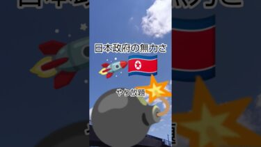 日本政府＆北朝鮮ミサイル拉致問題ニュースTV報道タブー日本第一党おすすめショート動画アイドル桜井誠先生shortナフサ生活#おすすめ#news#youtubeshorts#政治#桜井誠#shorts