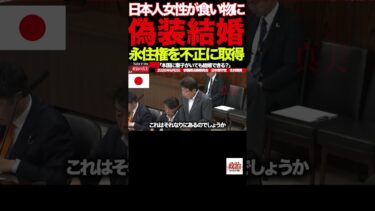 【北村晴男】③「結婚→永住権→離婚→家族呼び寄せ」国会で暴かれた制度の盲点#北村晴男#日本保守党#国会質疑#移民政策#永住権#偽装結婚#重婚問題#入管法#外国人問題