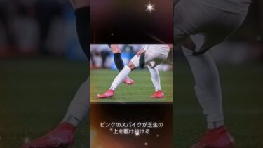 世界で「ピンク」が大流行　#れいわ新選組 #トレンド #ピンク #ワールドカップ