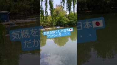 日本武士道精神アメリカGHQ軍隊ナフサ問題ニュース歴史社会TV報道タブーおすすめショート動画アイドル桜井誠先生short#政治#おすすめ#news#桜井誠#shorts#youtubeshorts
