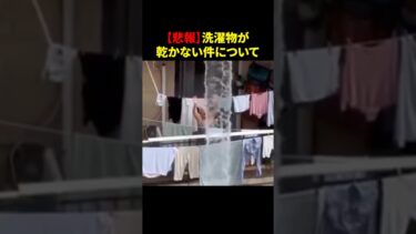 【悲報】洗濯物が乾かない件について #面白い #funnyvideo #エンタメ  #海外の反応 #マンション #プール #夏 #洗濯 #雑学 #2ch