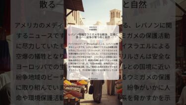レバノン国境でウミガメ守る献身、空爆に散る――紛争が奪う命と自然｜Mongabay｜2026/06/21｜中東情勢