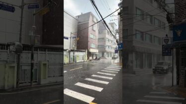 #雹#豪雨#大雨#雷雨#落雷#異常気象#天気 #天災#自然災害#災害#嵐#暴風 #大荒れ