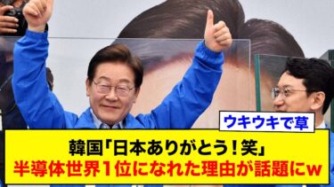 韓国「日本ありがとう！」半導体世界1位になれた理由が話題にww  [ネット民の反応]