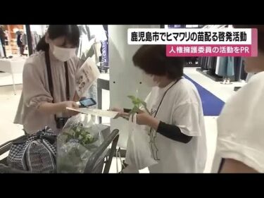 鹿児島市でヒマワリの苗配る啓発活動　人権擁護委員の活動をPR (26/06/09 11:50)