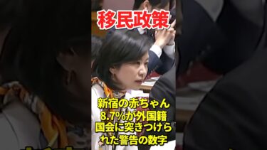 【移民政策の末路】「将来、日本人が少数派になっても日本と言えますか？」参政党・梅村みずほの容赦ない追及。21世紀末にオランダ人はわずか1割へ…東京で今まさに始まっている静かなる侵略の恐怖 #移民