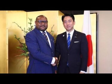 パプア外遊中止の裏側…日本が見落とした重大危機とは🌏⚠️