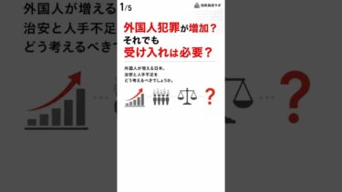 外国人犯罪が増加？それでも受け入れは必要？ #外国人問題 #移民政策 #人手不足 #日本経済 #国民負担ラボ