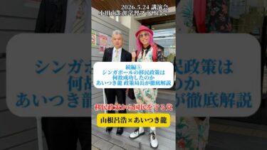 シンガポールの移民政策は何故成功したのか⑤#あいつき龍 #移民政策から国民を守る党 #尼崎市