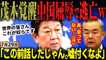 【高市自民最新】「茂木最強か⁉」日本外交が中国潰す⁉中国王毅外相と対話したと公表した茂木外務大臣。しかし中国側は否定！なんと中国側のメンツぶっ壊していたｗ嘔気が慌てて火消すし大逃亡【無党派視点で論評】