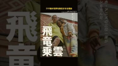 【トレンド解説】ウマ娘が世界を熱狂させる理由【飛竜乗雲】