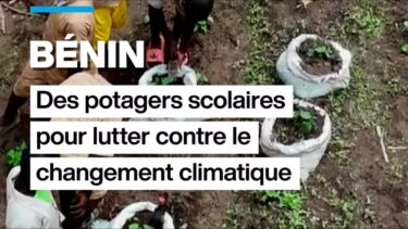 Au Bénin, des potagers scolaires pour lutter contre le changement climatique •