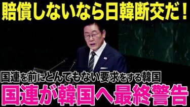 【海外の反応】韓国「日本とは断交だ！」→韓国が国連に賠償を求める事態に…事実を知った国民に衝撃走り、世界が困惑した理由