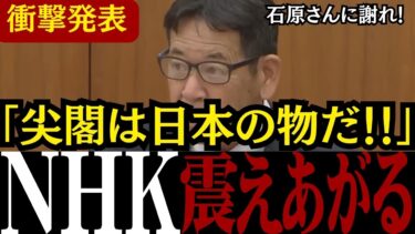 【移民問題】「尖閣は中国だと!?」NHKによる数々の日本への侮辱偏向報道に有村議員  向山議員 北村議員が徹底追及【自民党/高市早苗/外国人問題】