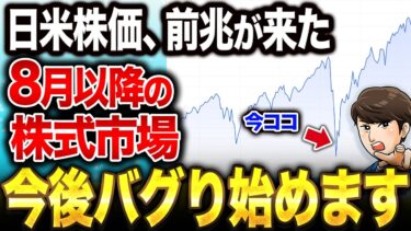 事態がさらに急変しました…。AIバブル崩壊か？今、世界中の株式市場で何が起きているのか？私たち個人投資家が今やるべきことを解説します【新NISA/資産形成】