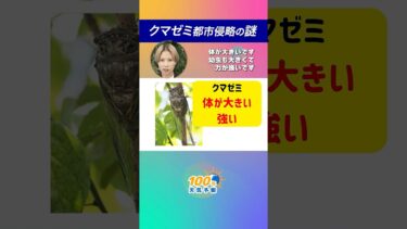 【気候変動】100年天気予報 〜クマゼミ都市侵略の謎〜 #通勤タイパ #気候変動 #セミの鳴き声