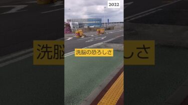 世界医療ニュース健康生活おすすめショート動画tiktokトレンド桜井誠先生YouTube日本政治short#tiktok#桜井誠#トレンド#おすすめ#政治#youtubeshorts#shorts