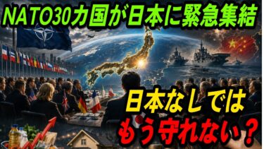 日本が新たに描く世界秩序｜NATO加盟30カ国の代表団が緊急訪日｜「日本の協力が絶対に必要だ」