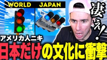 【海外の反応】日本にしかない29の文化に衝撃を受けるニコラスニキｗｗｗ【日本の文化反応】【日本語字幕】【翻訳】【ニコラス兄貴】【英語学習】