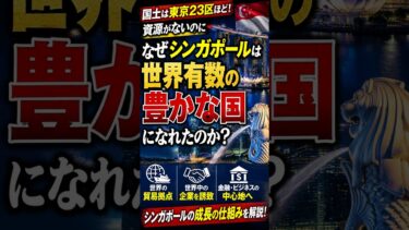 なぜ小さなシンガポールは世界有数の豊かな国になれたのか？資源がない国の成長戦略#シンガポール #世界経済 #日本経済 #経済成長 #世界の仕組み #Shorts