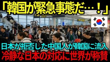 【海外の反応】「韓国が緊急事態だ⋯！」日本が拒否した中国人が韓国に一気に流入→日本の対応に世界が称賛