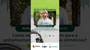 Como os rios contribuem para o enfrentamento às mudanças climáticas?