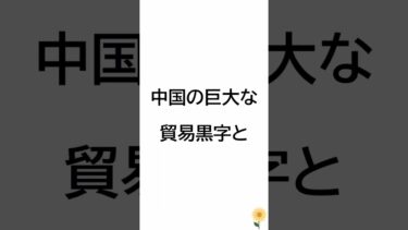 中国はいったい何をしたのか？｜なぜ世界は中国から離れるのか#中国 #中国経済 #世界経済 #G20 #貿易摩擦 #サプライチェーン #米中関係 #日本経済