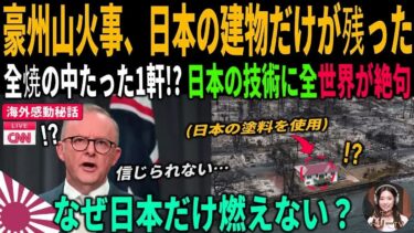 海外感動秘話「日本のペンキで山火事を防ぐ？」嘲笑から一転、土下座！1300度の炎の中、日本の技術が45人の命を救った衝撃の42時間