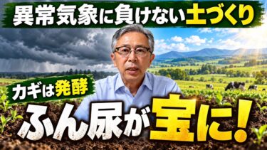 異常気象に負けない土づくり！発酵したふん尿が「宝」に変わる【DNW442】