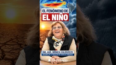 EL FENÓMENO DE EL NIÑO – ING. AGR. MÓNICA VALDIVIEZO – DOCENTE DE LA FACULTAD