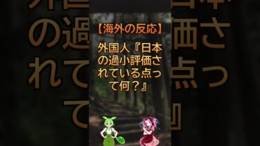 外国人『日本の過小評価されている点って何？』【海外の反応】